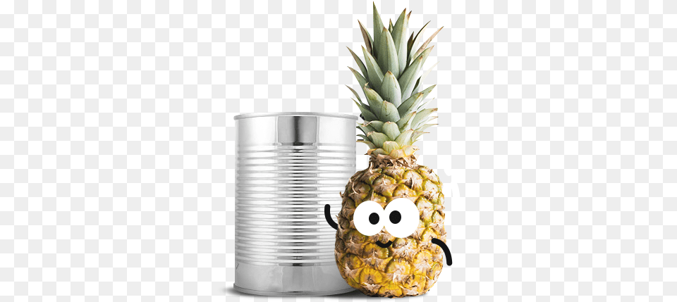 Fresh Canned Pineapples Pineapple With White Background Pineapple Hd, Food, Fruit, Plant, Produce Free Png