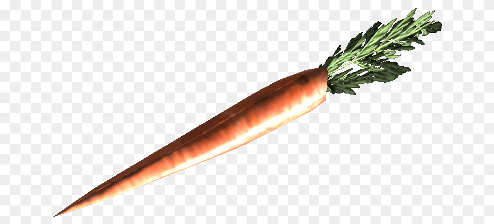 Fresh Carrot, Food, Plant, Produce, Vegetable Png