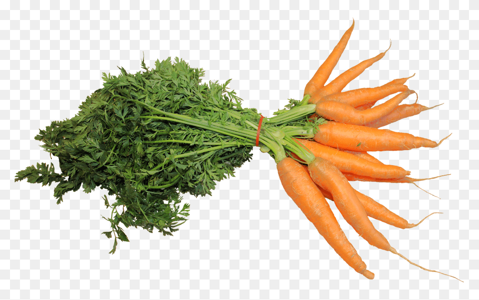 Fresh Carrot Food, Plant, Produce, Vegetable Png Image