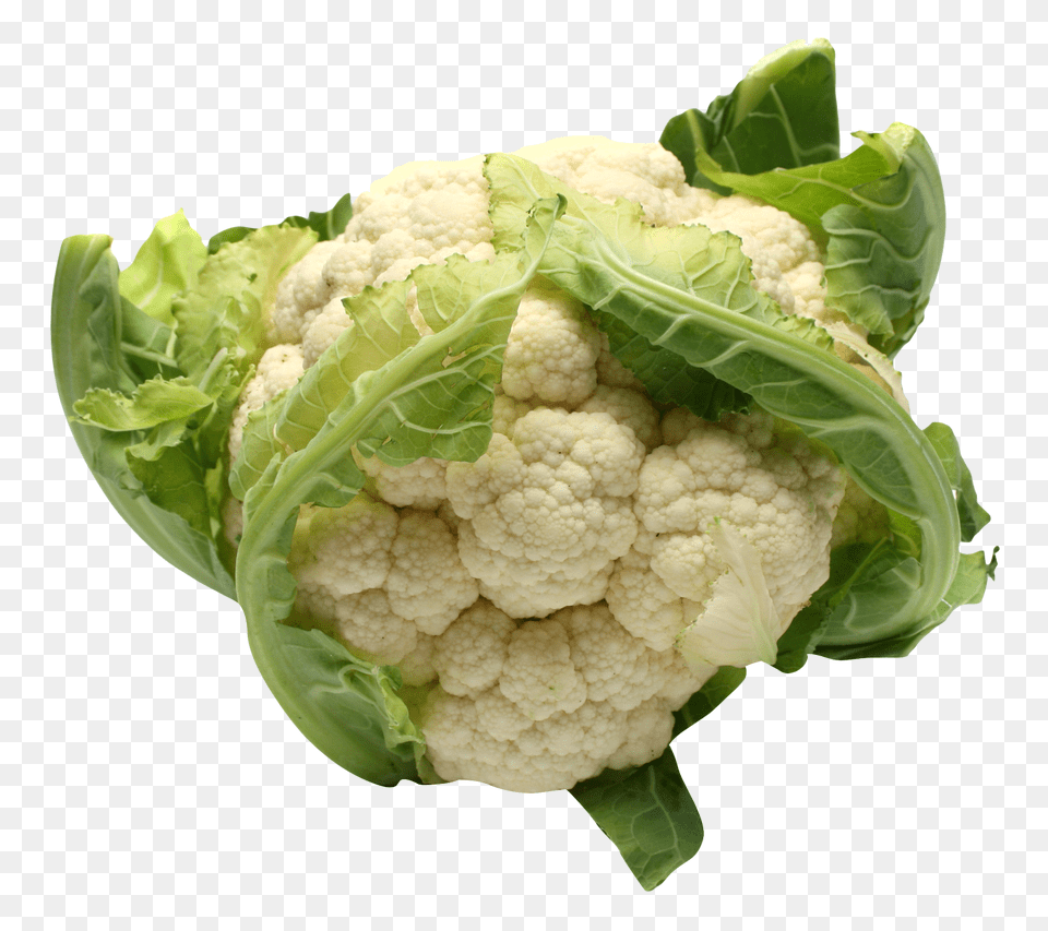 Fresh Cauliflower Image, Food, Plant, Produce, Vegetable Free Png