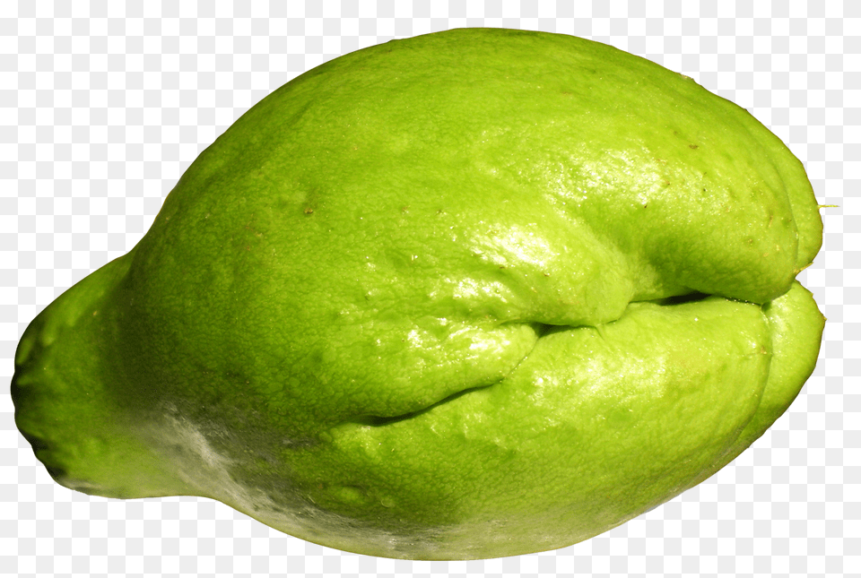 Fresh Chayote Image, Food, Fruit, Plant, Produce Png