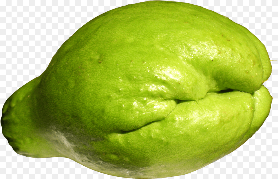 Fresh Chayote Image For Chayote, Food, Fruit, Plant, Produce Free Png