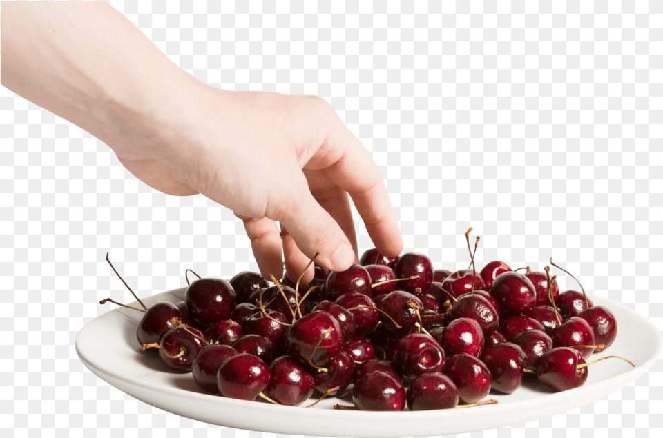 Fresh Cherries Transparent Background Cherry, Food, Fruit, Plant, Produce Png