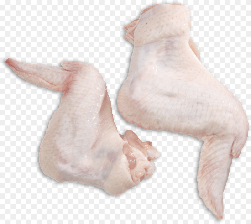 Fresh Chicken Wings, Animal, Bird, Fowl, Poultry Free Transparent Png
