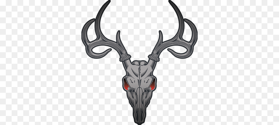 Fresh Clip Art Buck Deer Skull Vector Clipart Best, Antler, Bow, Weapon, Animal Free Png Download