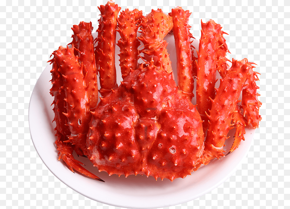 Fresh Crab, Animal, Food, Invertebrate, King Crab Png Image