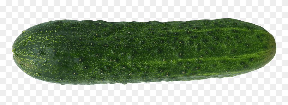 Fresh Cucumber, Food, Plant, Produce, Vegetable Free Png Download