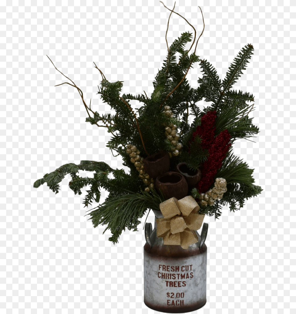 Fresh Cut Christmas Trees, Flower, Flower Arrangement, Flower Bouquet, Ikebana Free Png