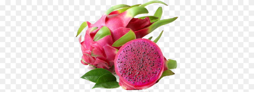 Fresh Dragon Fruit Pitahaya Transparent Dragon Fruit, Food, Plant, Produce Free Png