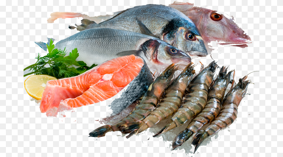 Fresh Fish Sea Fish For Eating, Animal, Sea Life, Food, Seafood Free Png Download