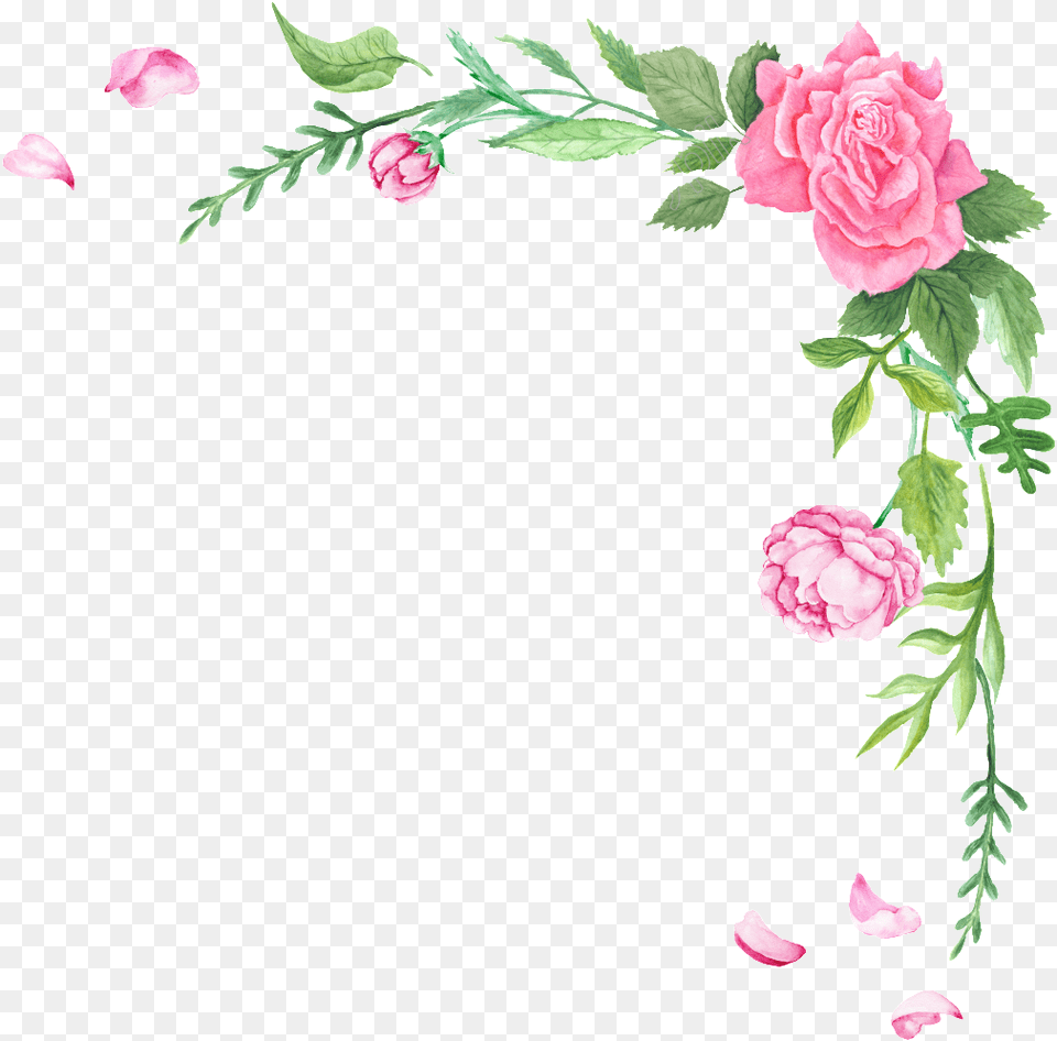Fresh Flower Transparent Decorative Border Flowers Transparent, Petal, Plant, Rose, Carnation Free Png Download