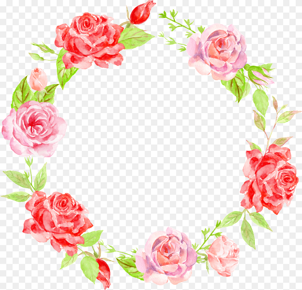 Fresh Flower Vine Head Decoration Vector Garden Roses, Plant, Rose, Art, Floral Design Free Png Download