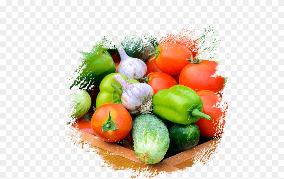 Fresh Fruit Amp Vegetables Supplier Distributors In Fresh Vegetables Pics, Food, Produce, Bell Pepper, Pepper Free Png