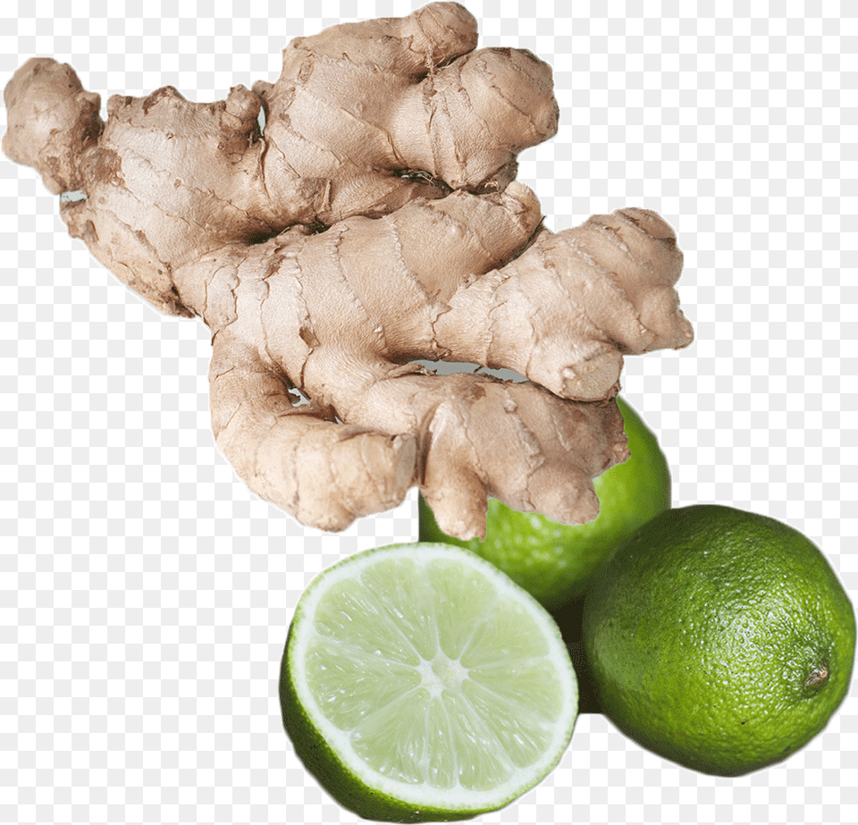 Fresh Ginger Lime Fragrance Oil Eat Ginger, Citrus Fruit, Food, Fruit, Plant Free Png Download