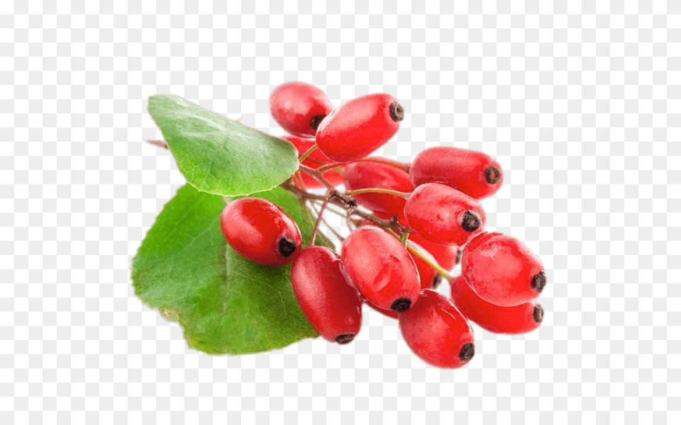 Fresh Goji Berries, Food, Fruit, Plant, Produce Free Png Download