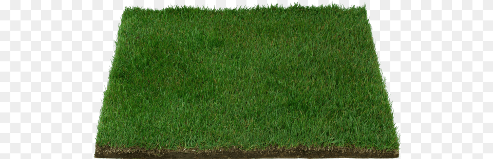 Fresh Grass Patch Patio Pet Life Farm Fresh Pet Grass Small, Lawn, Plant, Blackboard Free Png Download