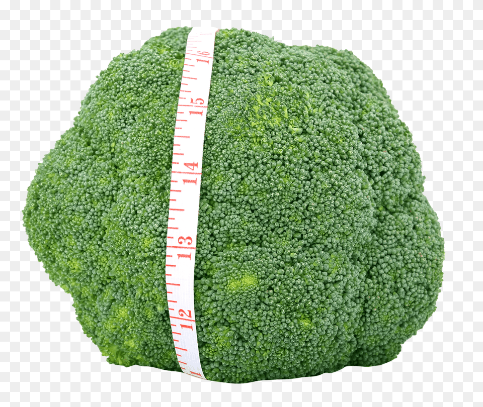 Fresh Green Broccoli Image, Food, Plant, Produce, Vegetable Free Transparent Png