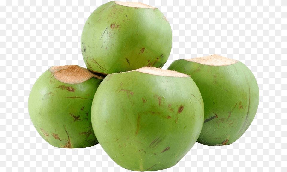 Fresh Green Coconut, Food, Fruit, Plant, Produce Free Png Download