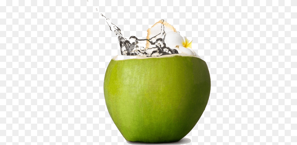Fresh Green Coconut Image, Food, Fruit, Plant, Produce Free Png Download