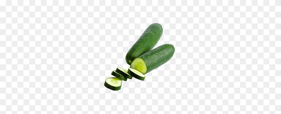 Fresh Grown Green Cucumber Suppliers Wholesalers Hydro Produce, Food, Plant, Vegetable, Ketchup Png Image