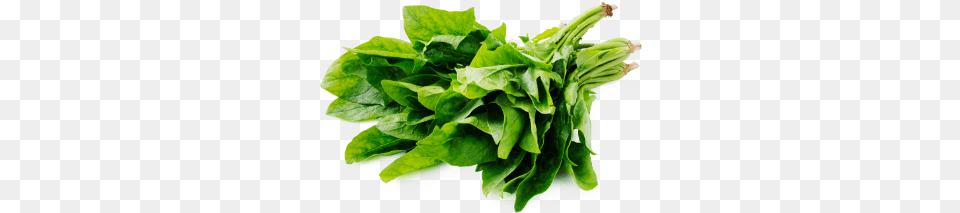 Fresh Grownenglishspinachsupplierswholesalershydro Spinach, Food, Produce, Leafy Green Vegetable, Plant Free Transparent Png