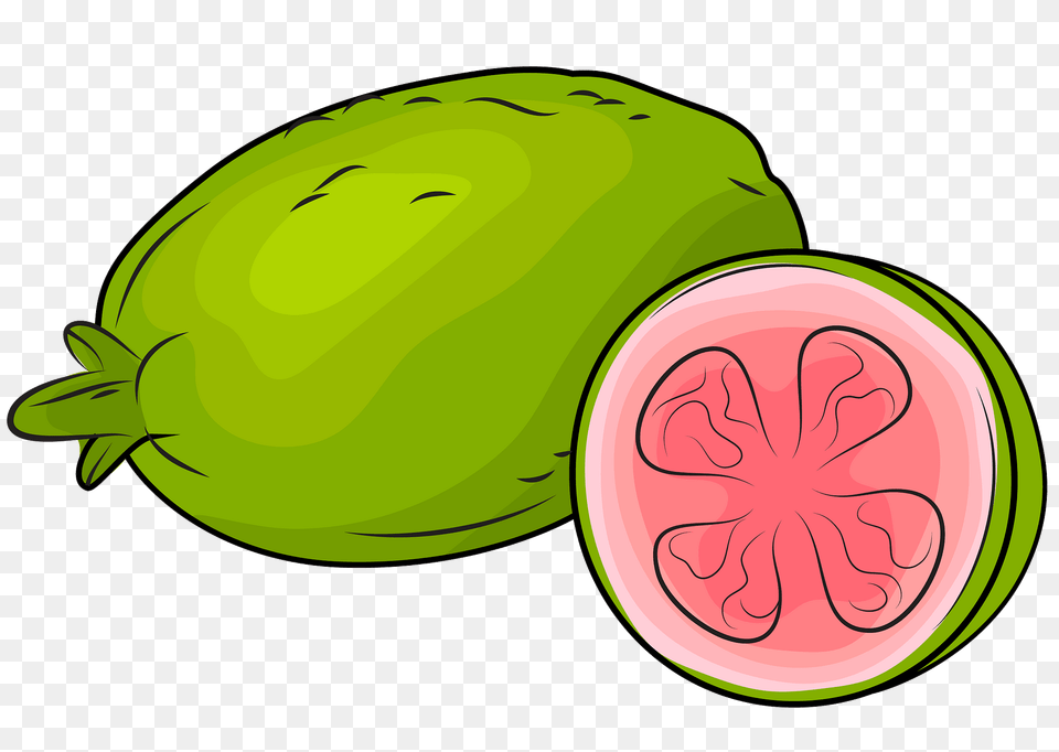 Fresh Guavas Clipart, Food, Fruit, Plant, Produce Png Image