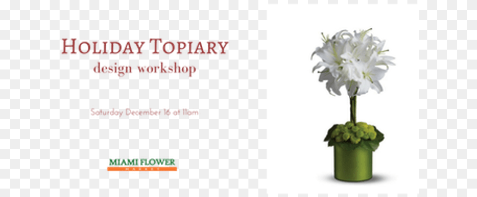 Fresh Holiday Topiary Workshop Bouquet, Flower, Plant, Potted Plant, Flower Arrangement Png Image