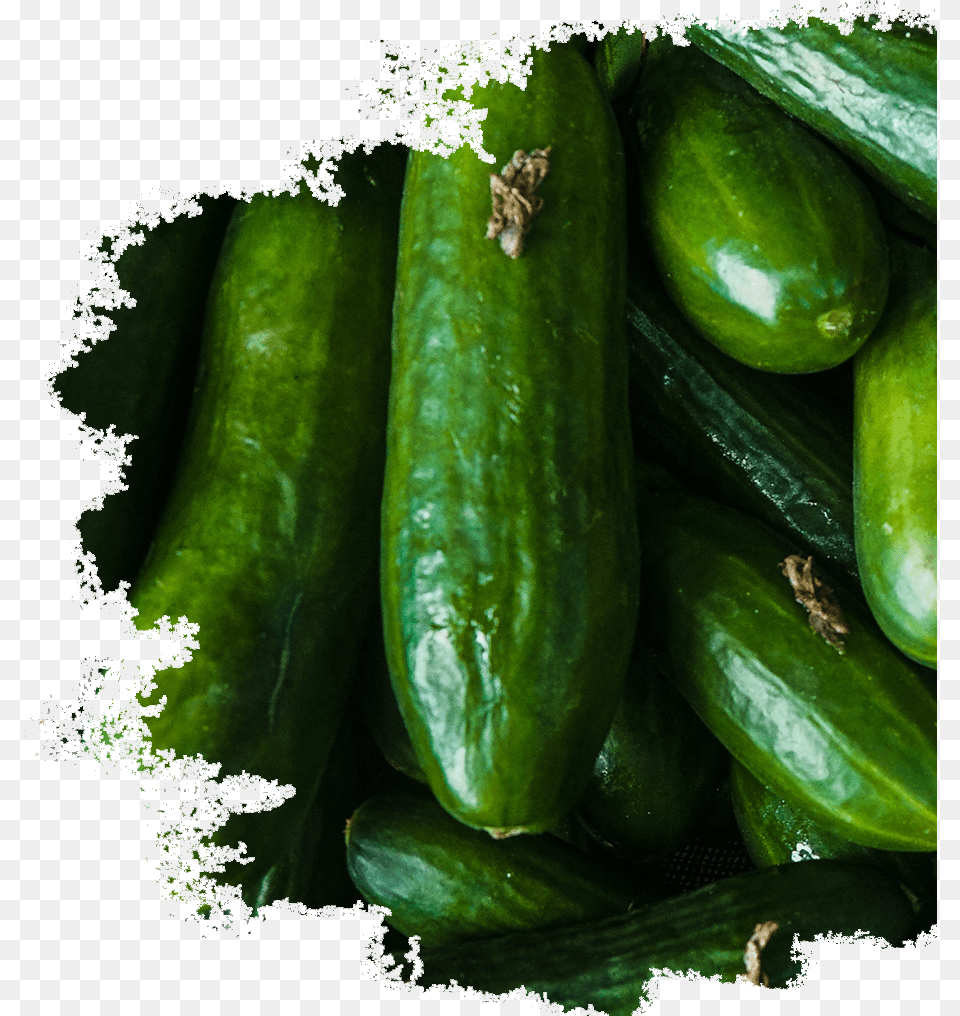 Fresh Juice Hd, Cucumber, Food, Plant, Produce Free Png