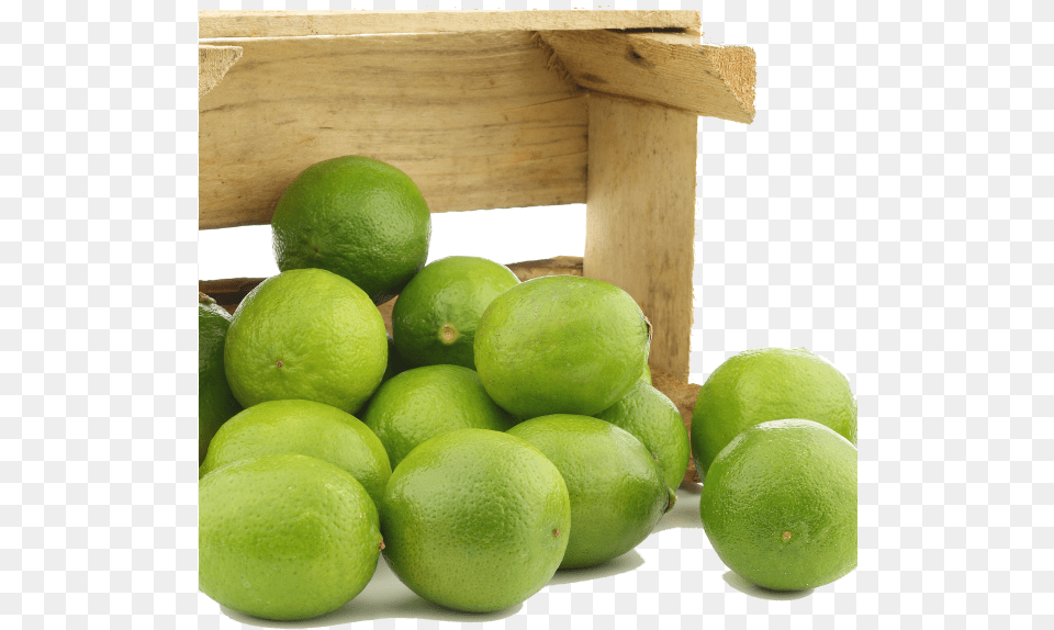 Fresh Juicy Limes Lime, Citrus Fruit, Food, Fruit, Plant Png