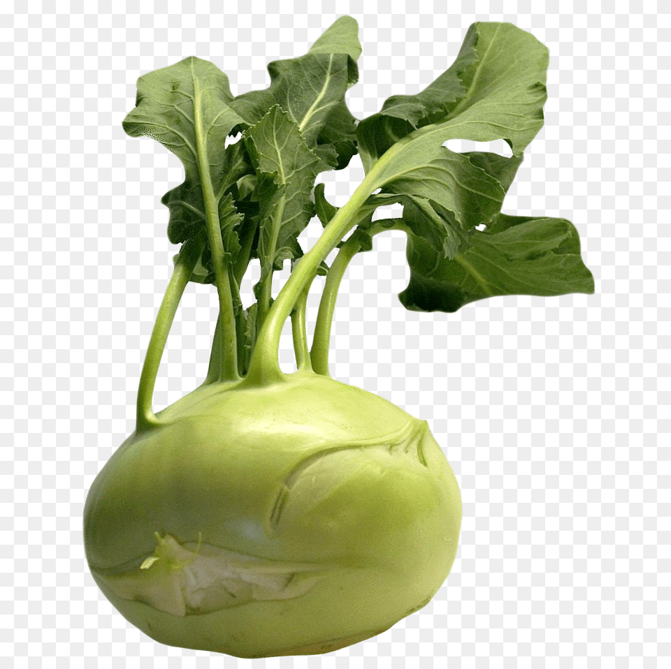 Fresh Kohlrabi With Green Leaves Image, Food, Plant, Produce, Vegetable Free Transparent Png