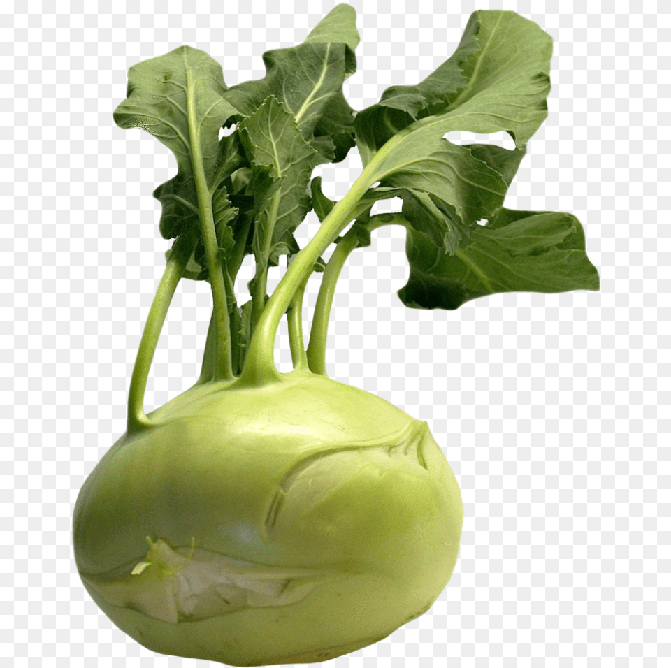 Fresh Kohlrabi With Green Leaves Kohlrabi, Food, Plant, Produce, Vegetable Png Image