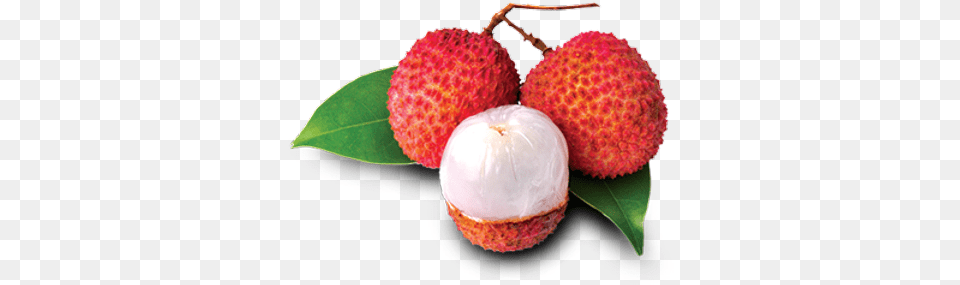 Fresh Litchi Benefits Of Lychee Fruit, Food, Plant, Produce, Berry Free Transparent Png