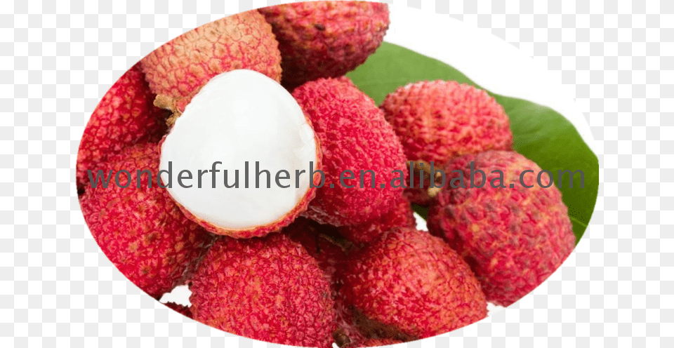 Fresh Lychee Lychee, Berry, Food, Fruit, Plant Png