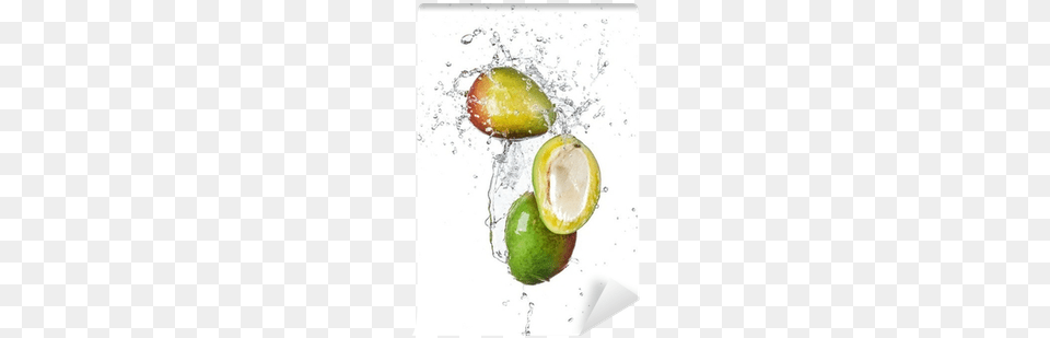 Fresh Mango In Water Splash On White Wall Mural Pixers Water, Food, Fruit, Plant, Produce Free Transparent Png