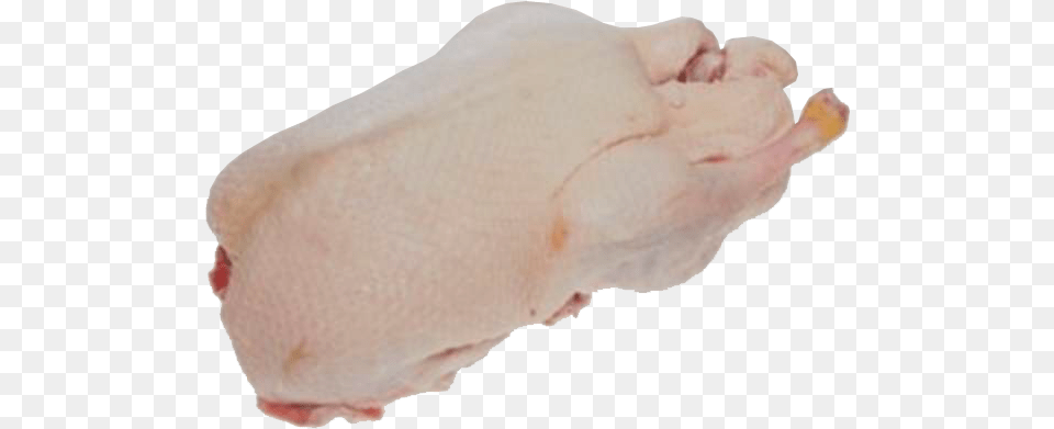 Fresh Meat Duck, Baby, Person, Animal, Mammal Png Image