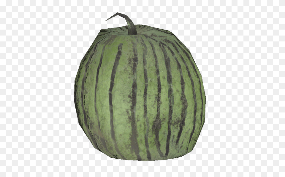 Fresh Melon, Food, Fruit, Plant, Produce Png