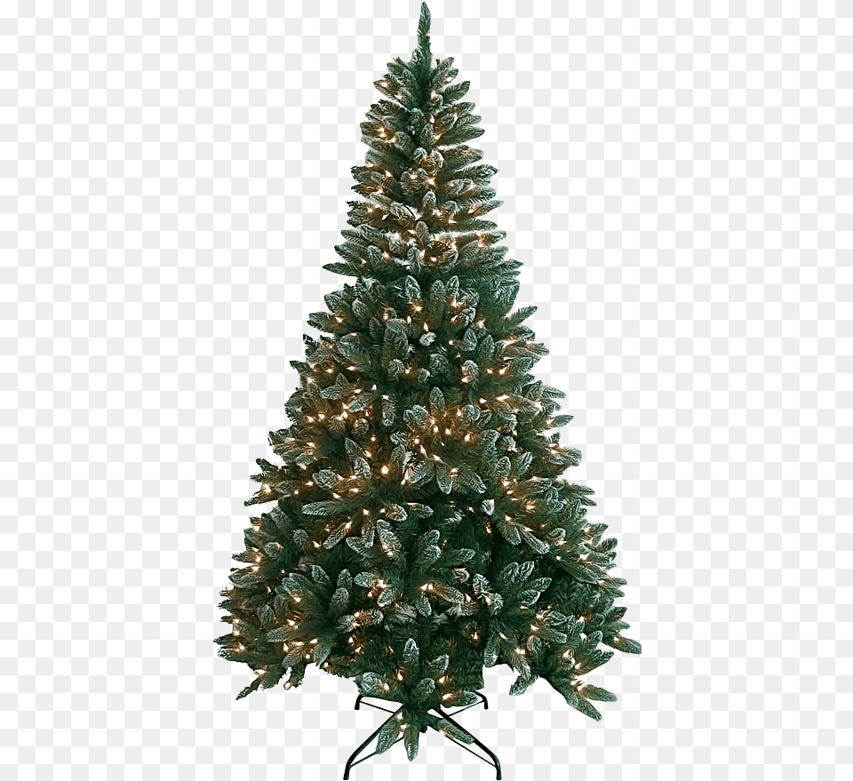 Fresh Noble Christmas Tree, Plant, Christmas Decorations, Festival, Pine Png