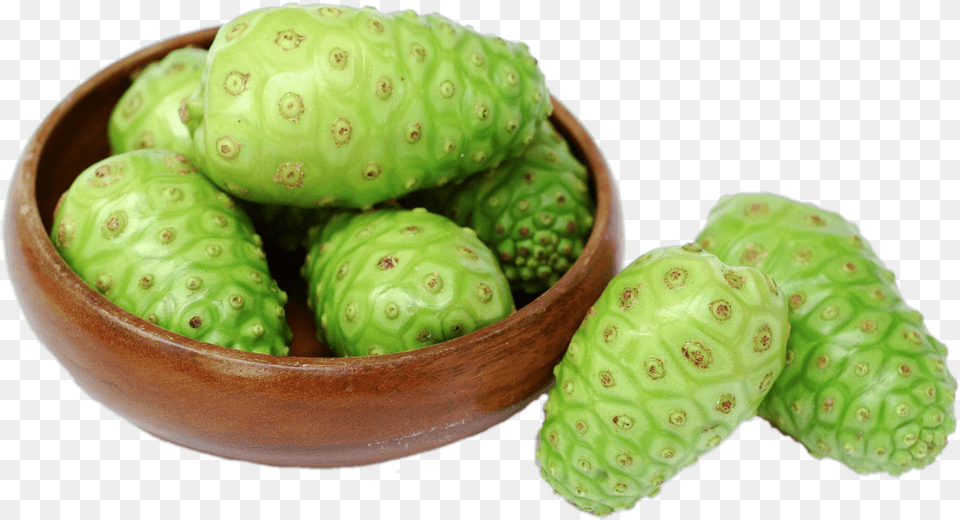 Fresh Noni Fruit Bhip Global Products Noni, Berry, Food, Plant, Produce Free Png