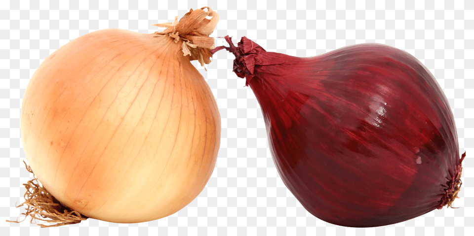 Fresh Onions Image, Food, Produce, Onion, Plant Png