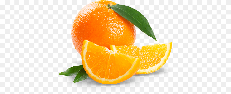 Fresh Orange, Citrus Fruit, Food, Fruit, Plant Png