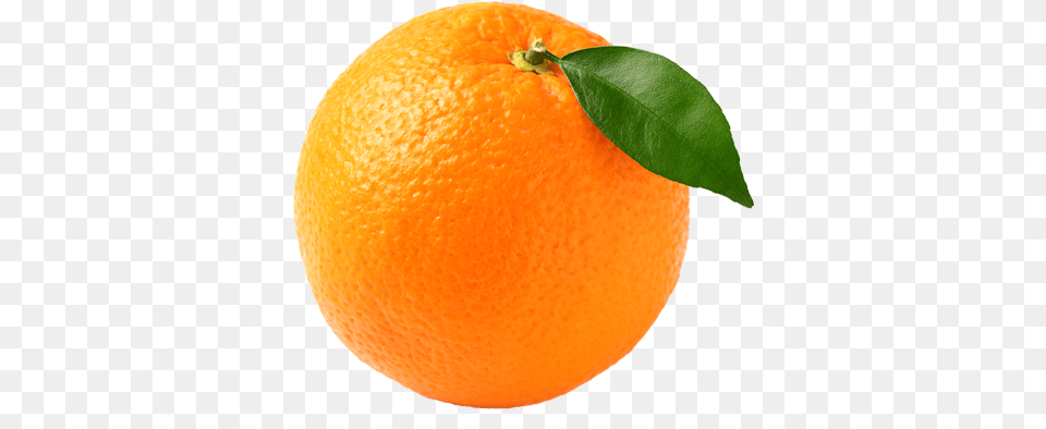 Fresh Orange Fresh Orange Fruit, Citrus Fruit, Food, Plant, Produce Free Transparent Png