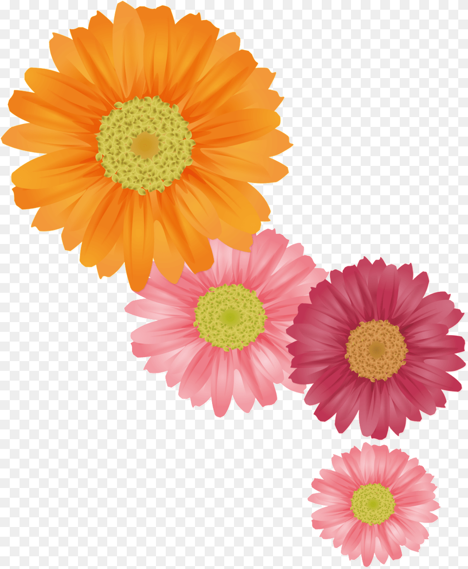 Fresh Orange Hand Painted Chrysanthemum Decorative Summer Flower, Daisy, Petal, Plant, Anemone Free Png Download