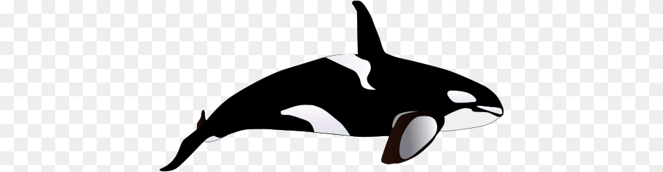 Fresh Orca Whale Clipart Orca Clip Art Clipart Best, Animal, Mammal, Sea Life, Appliance Png Image