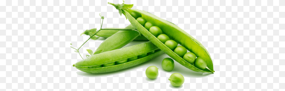 Fresh Organic Green Peas Rabi Crops, Food, Pea, Plant, Produce Png Image