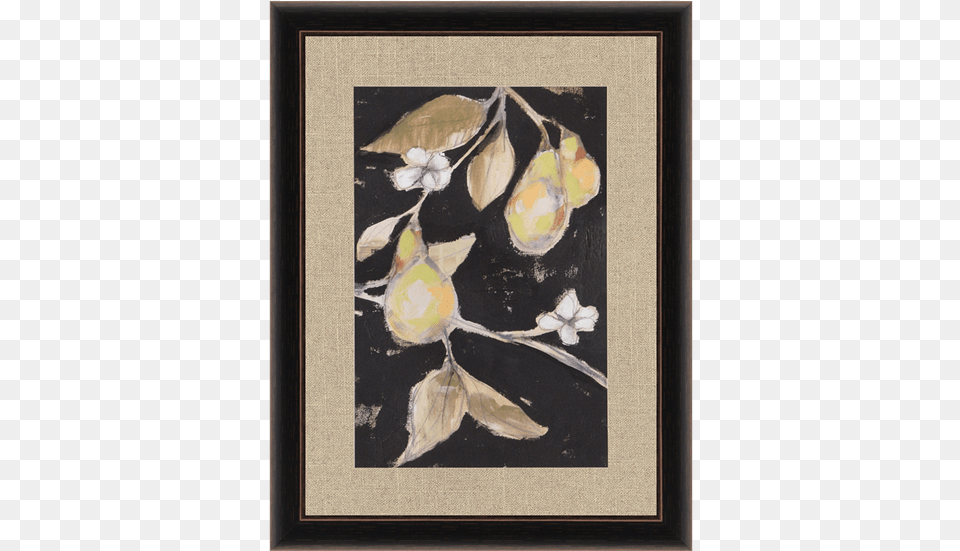 Fresh Pears Ii Paragon Decor Inc 1480 Fresh Pears Ii, Art, Painting, Animal, Bird Free Png