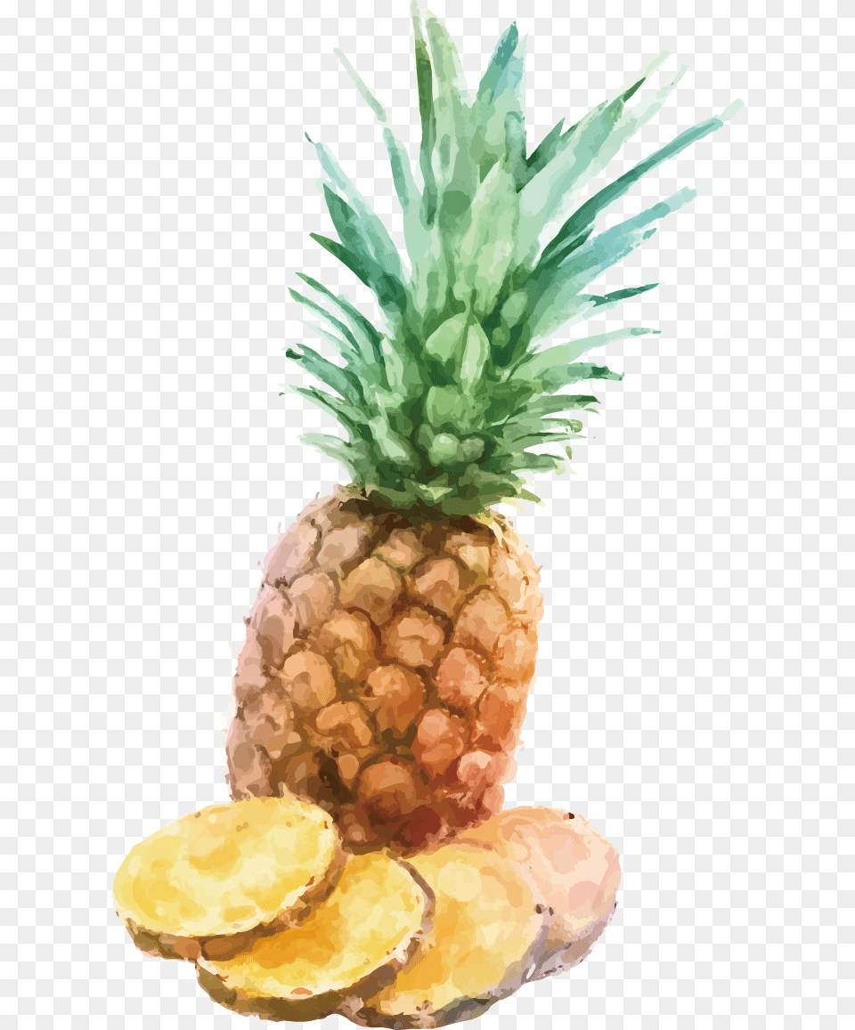 Fresh Pineapple Slices, Food, Fruit, Plant, Produce Free Png Download