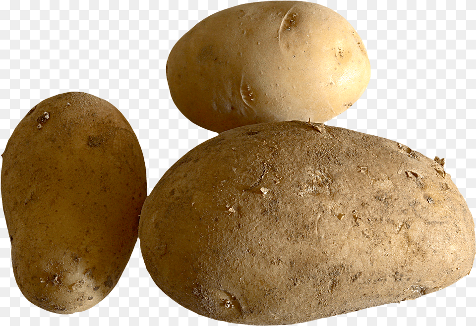 Fresh Potato Potatoes Pumpkin Potato, Food, Plant, Produce, Vegetable Free Png Download
