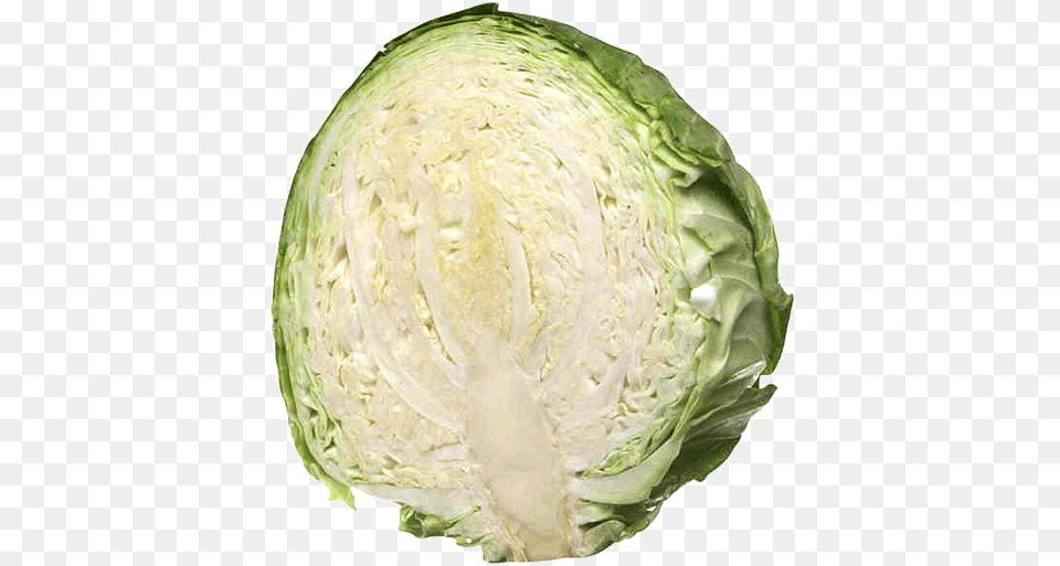 Fresh Produce Cabbage Green Each Half Cabbage, Food, Leafy Green Vegetable, Plant, Vegetable Png Image