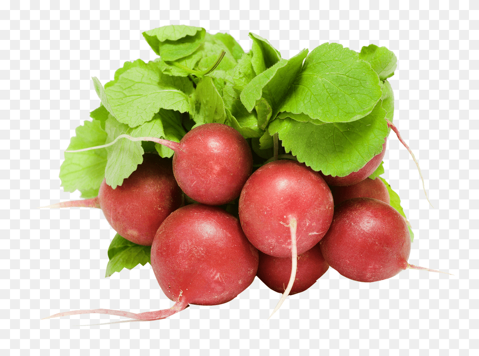 Fresh Radish Image, Food, Plant, Produce, Vegetable Free Transparent Png