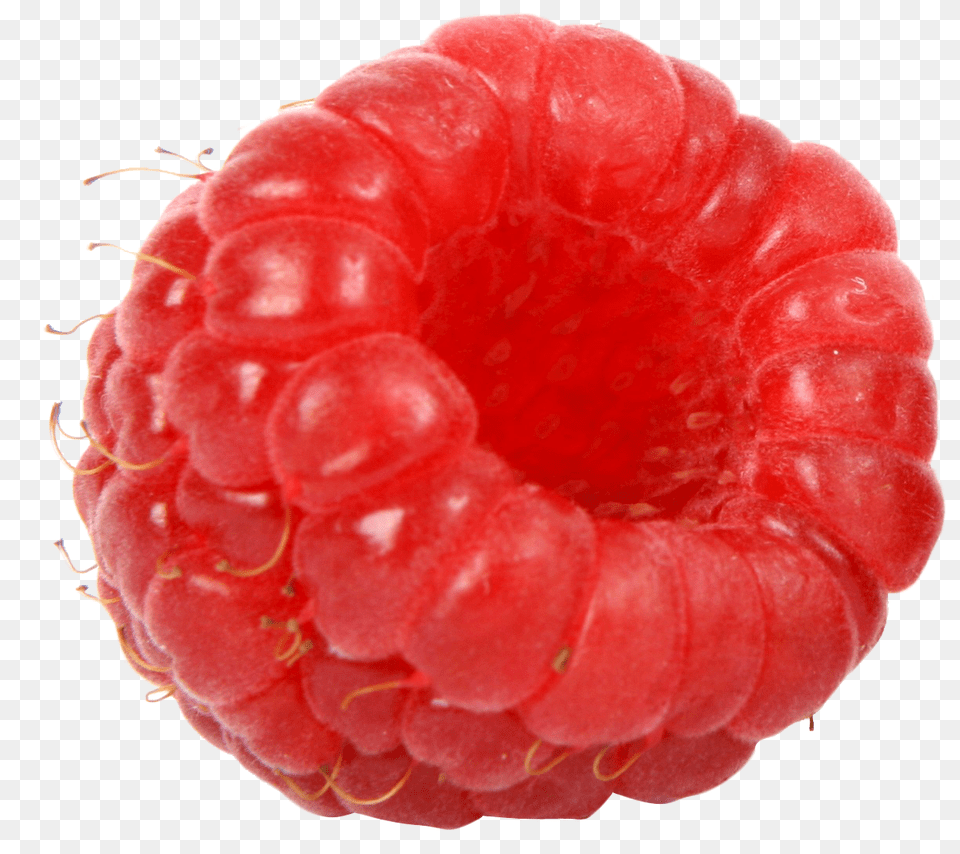 Fresh Raspberry Image, Berry, Food, Fruit, Plant Free Png Download